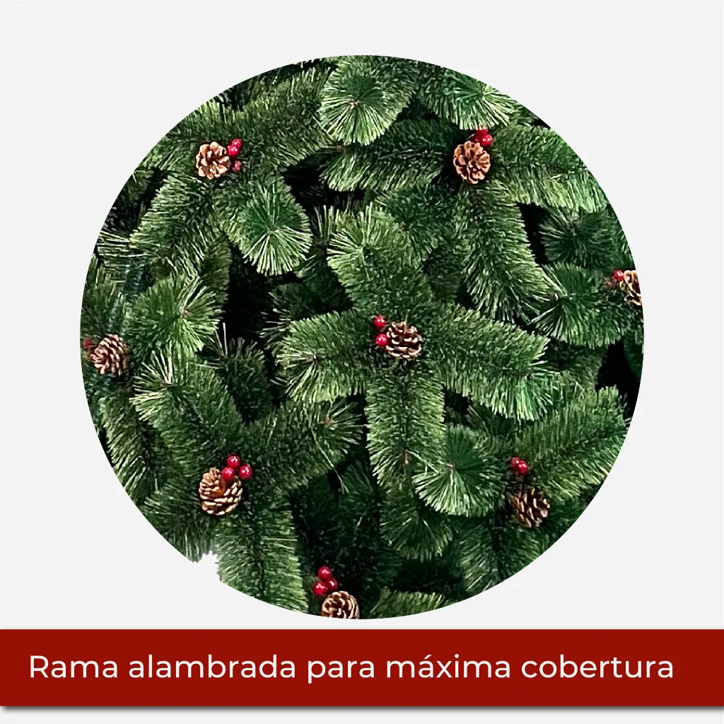 Mesa de trabajo 2@2x.webp