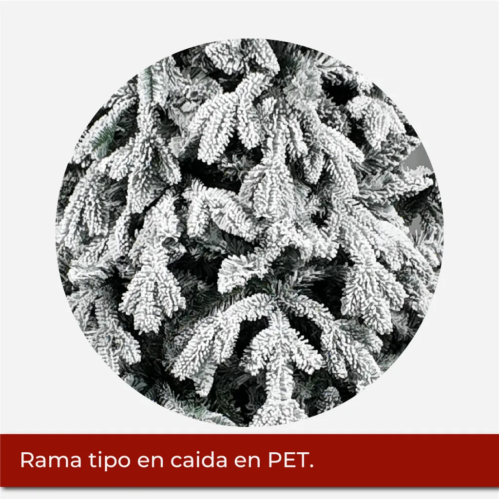 Mesa de trabajo 2@2x.webp