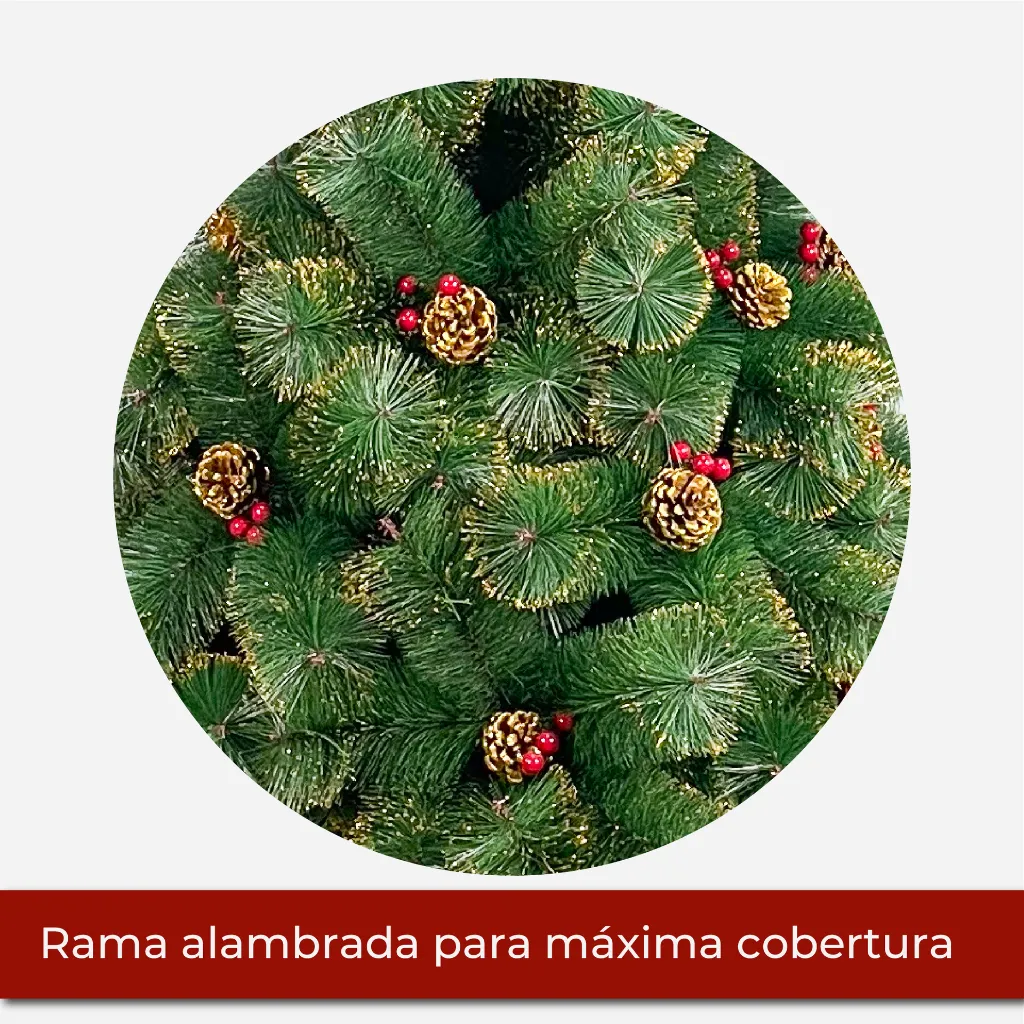 Mesa de trabajo 2@2x.webp