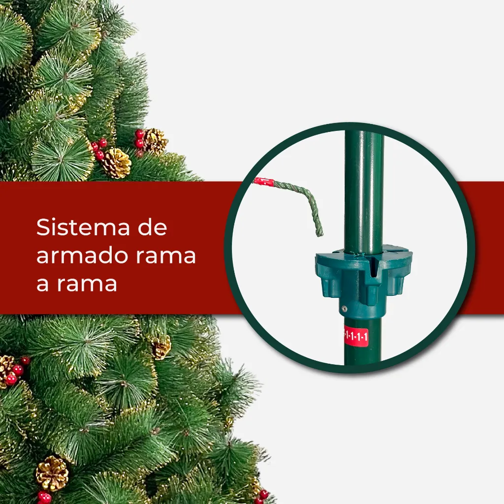 Mesa de trabajo 4@2x.webp