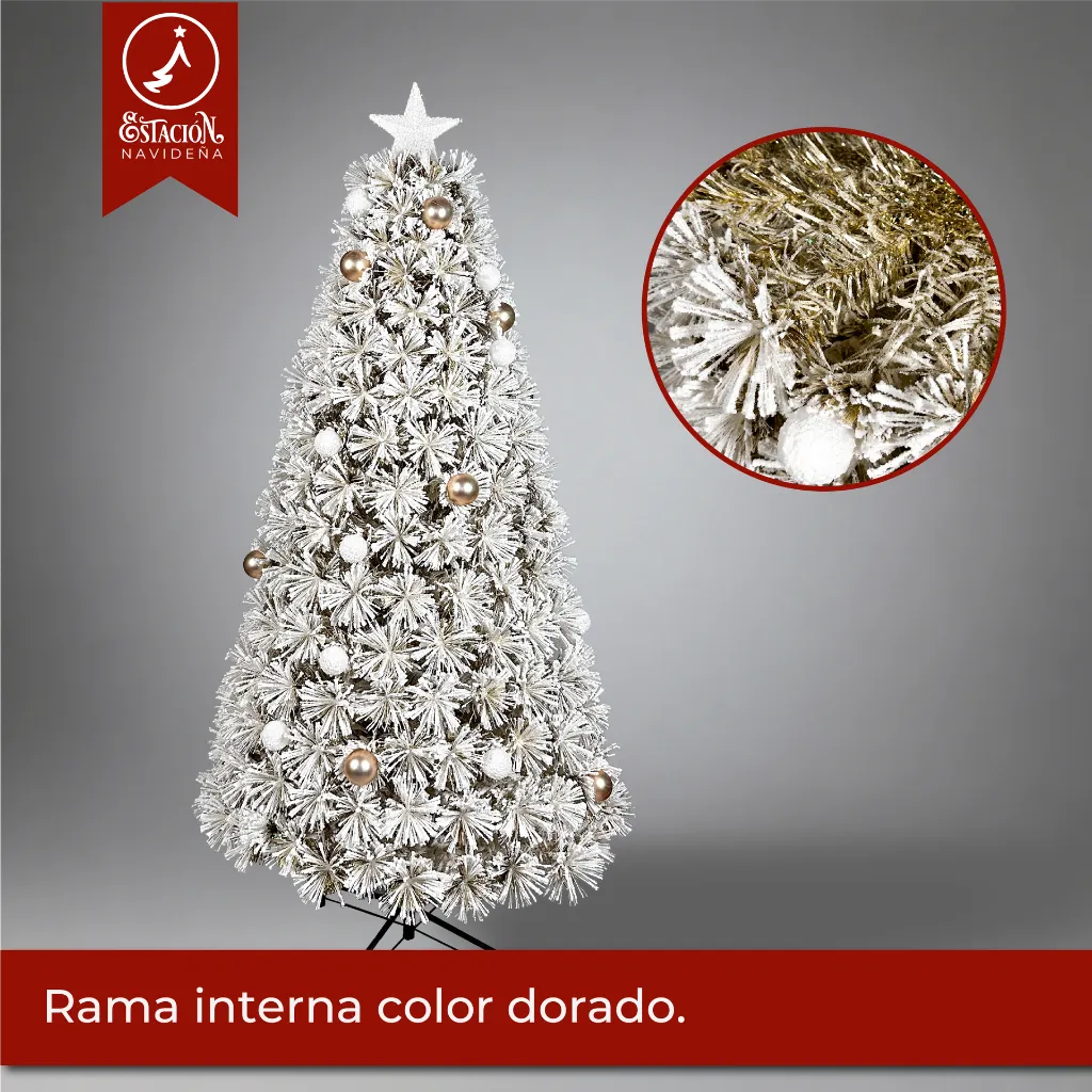 Mesa de trabajo 1@2x.webp
