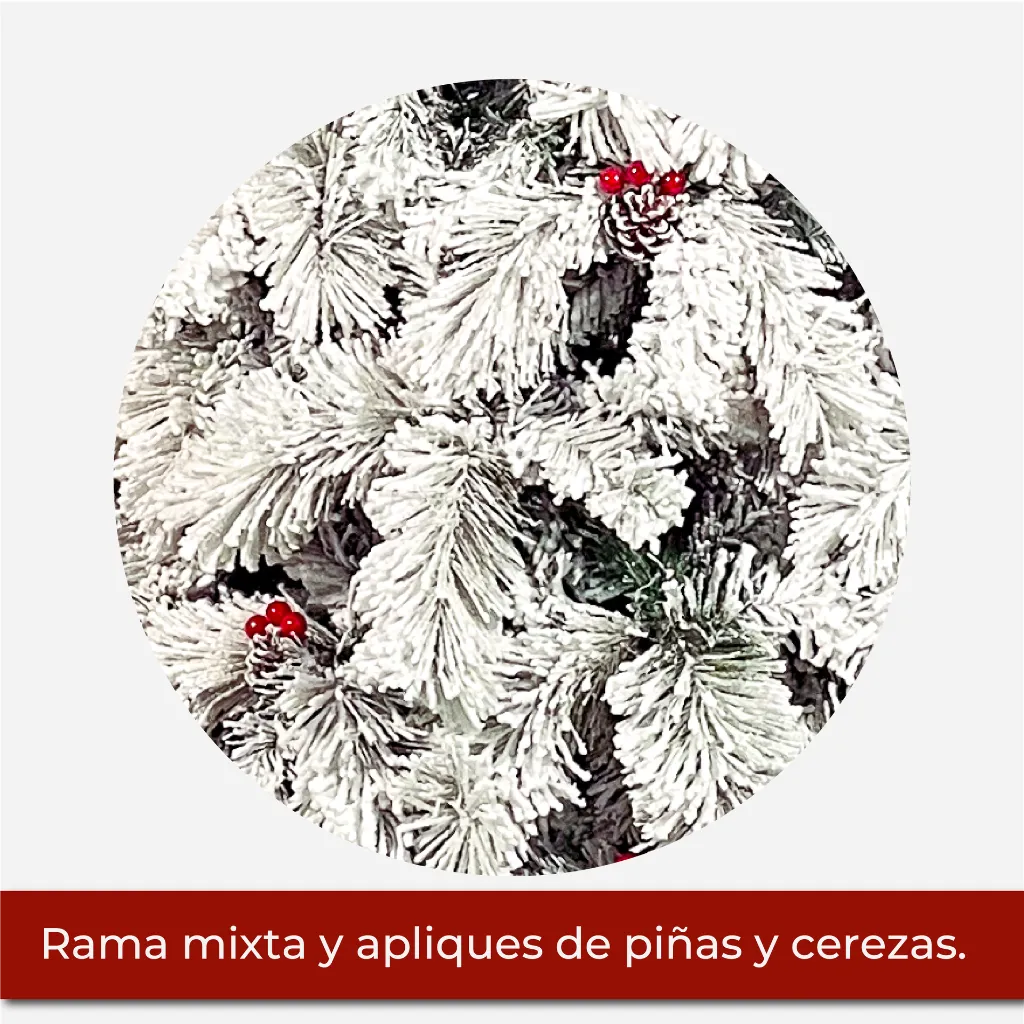 Mesa de trabajo 2@2x.webp