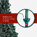 Mesa de trabajo 4@2x.webp