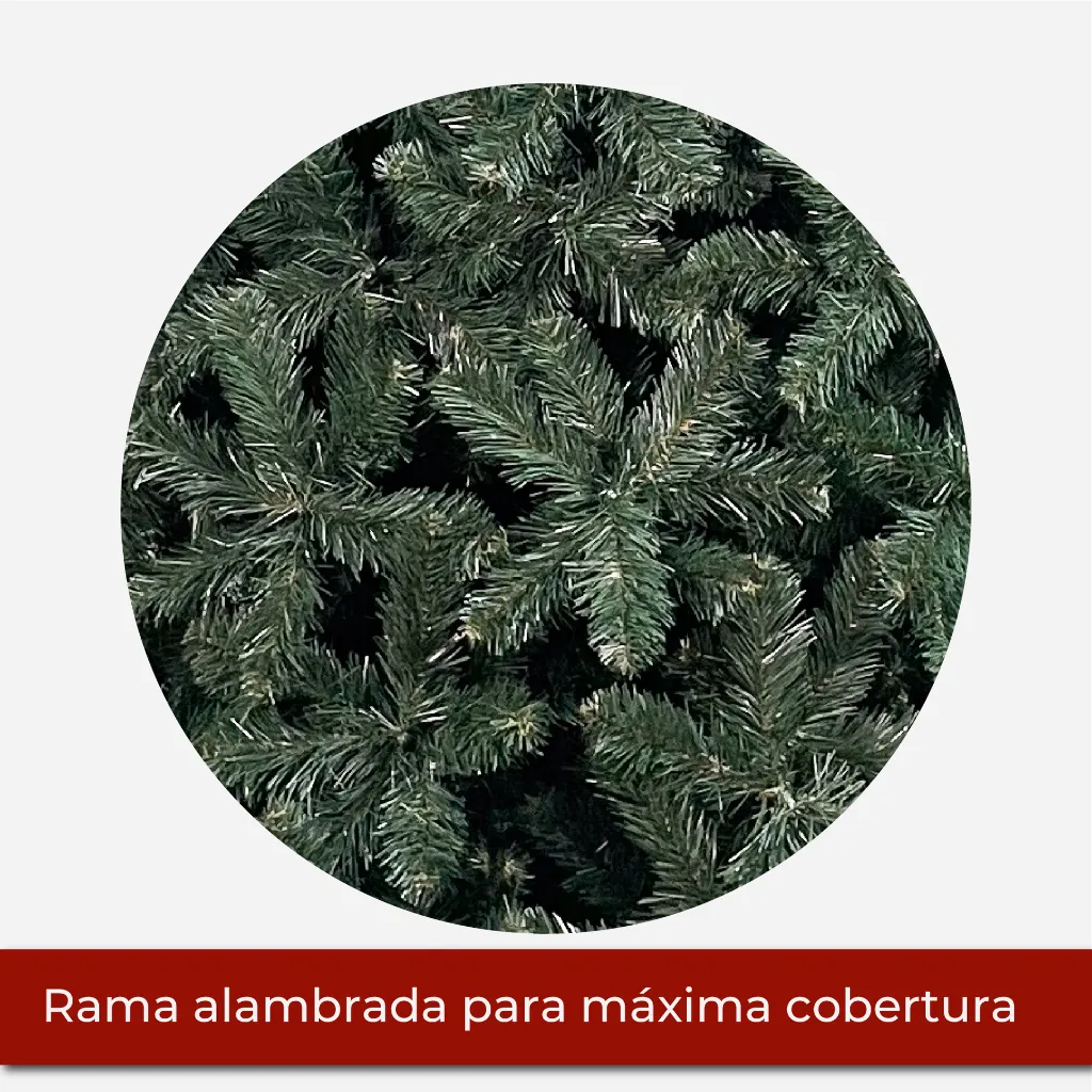 Mesa de trabajo 2@2x.webp