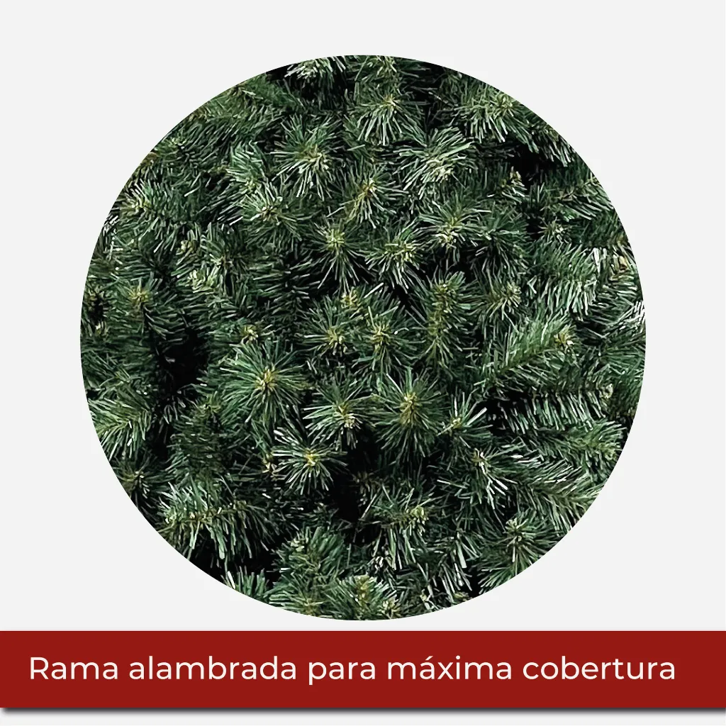 Mesa de trabajo 2@2x.webp