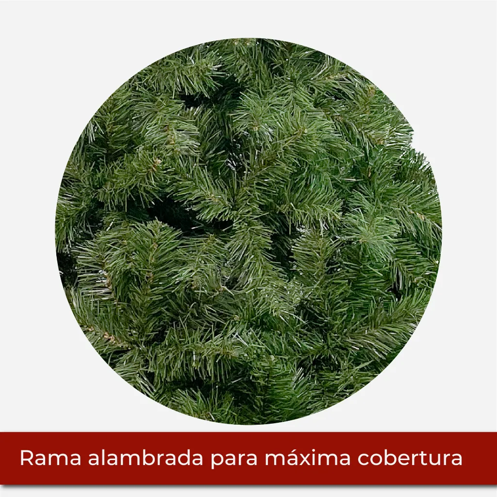 Mesa de trabajo 2@2x.webp