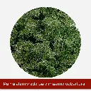 Mesa de trabajo 2@2x.webp