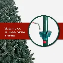 Mesa de trabajo 4@2x.webp