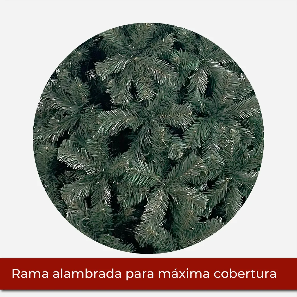 Mesa de trabajo 2@2x.webp