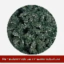 Mesa de trabajo 2@2x.webp