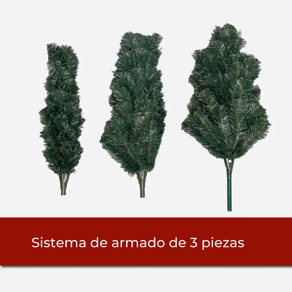 Mesa de trabajo 9@2x.webp