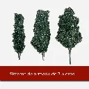 Mesa de trabajo 9@2x.webp