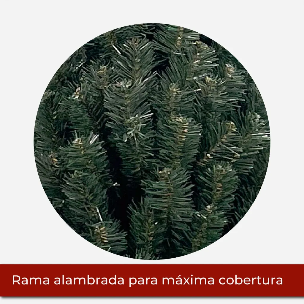 Mesa de trabajo 2@2x.webp