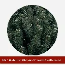 Mesa de trabajo 2@2x.webp