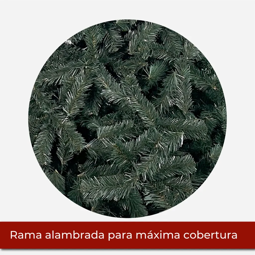 Mesa de trabajo 2@2x.webp