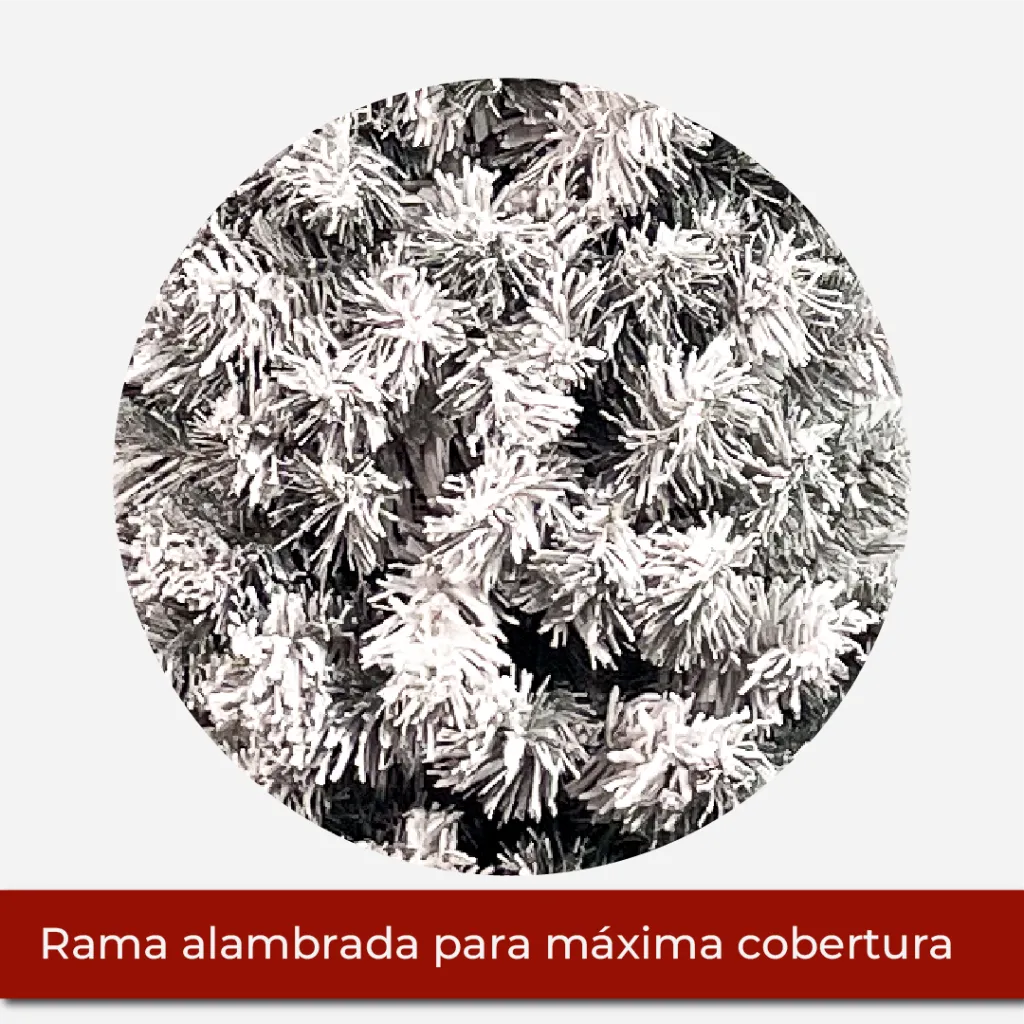 Mesa de trabajo 2.webp