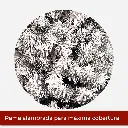 Mesa de trabajo 2.webp