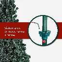 Mesa de trabajo 4@2x.webp