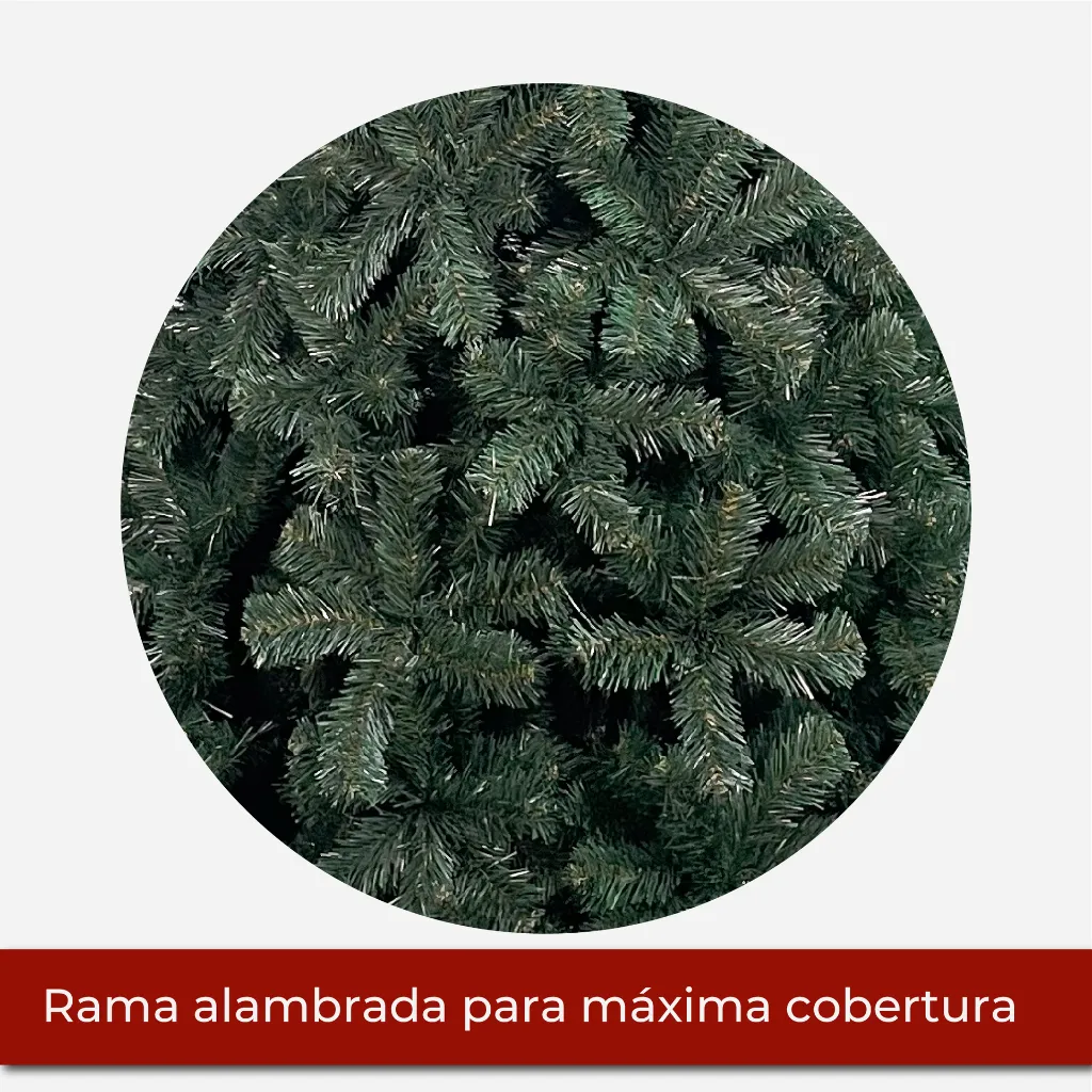 Mesa de trabajo 2@2x.webp