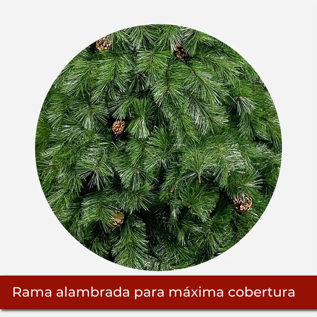 Mesa de trabajo 2@2x.webp