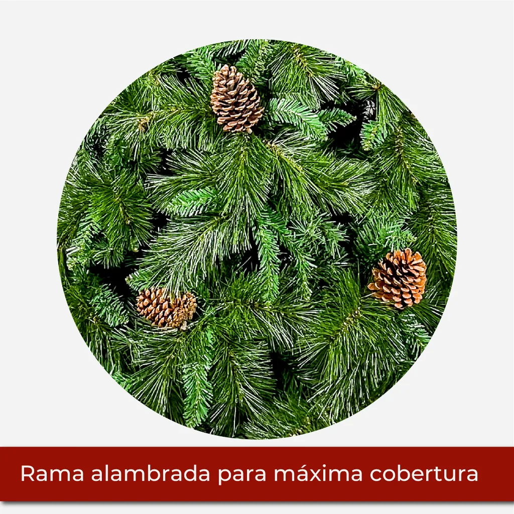 Mesa de trabajo 2@2x.webp