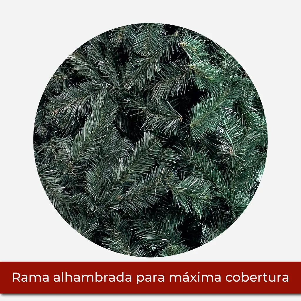 Mesa de trabajo 2@2x.webp