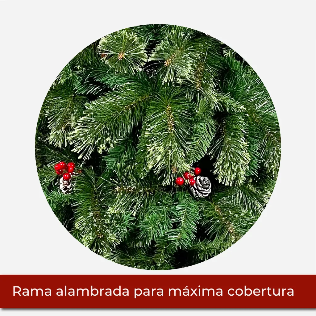 Mesa de trabajo 2@2x.webp