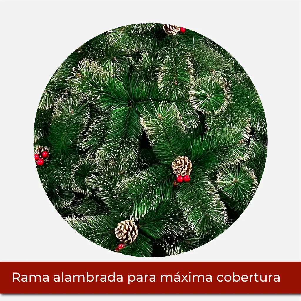 Mesa de trabajo 2@2x.webp