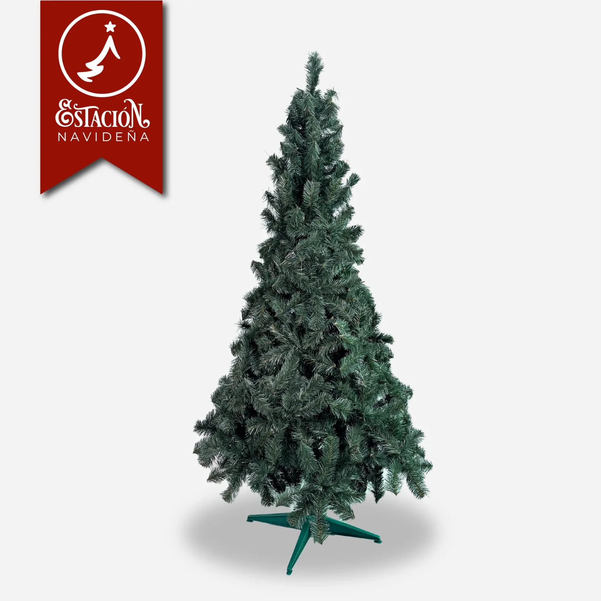 Árbol Tradicional México