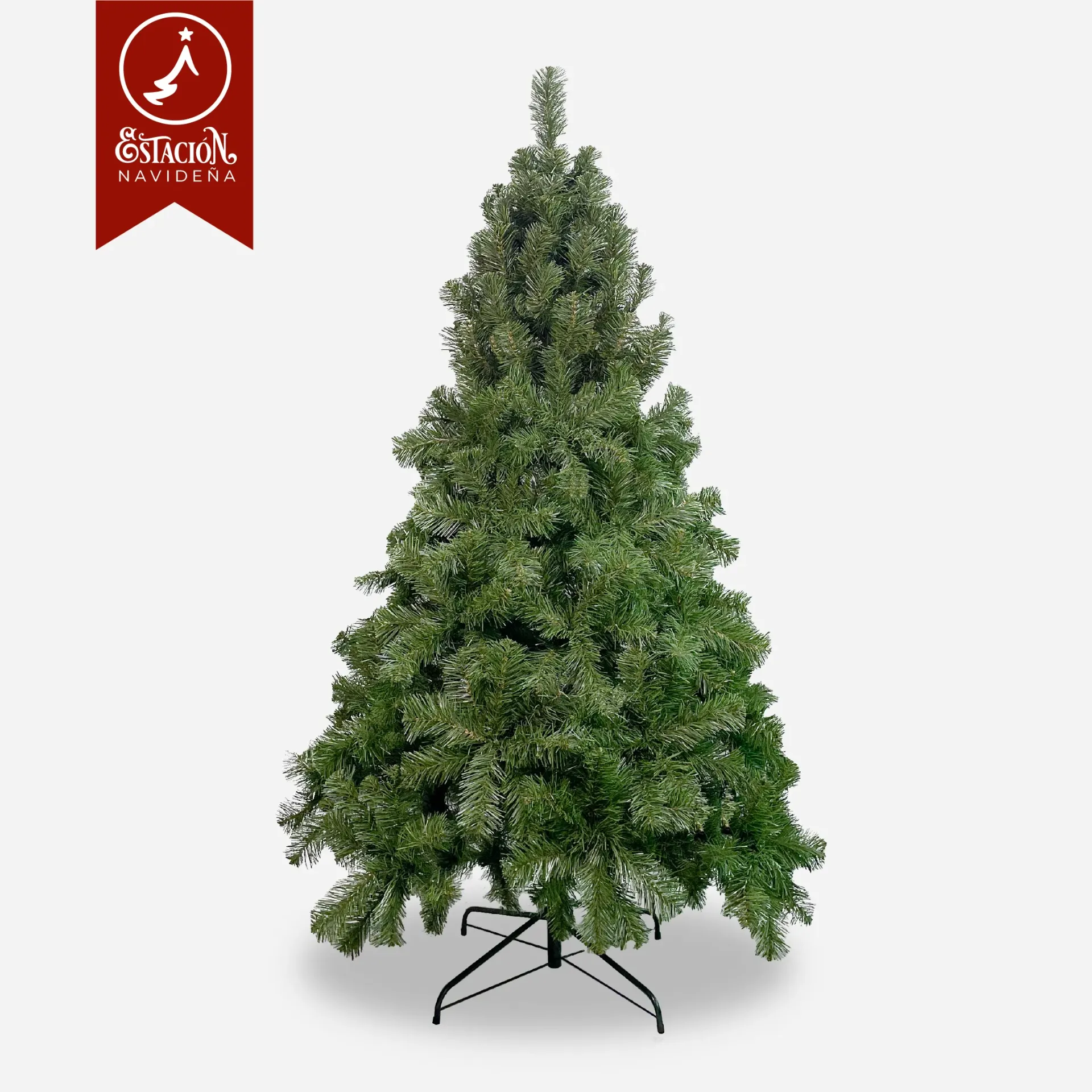 Árbol Tradicional Hong Kong