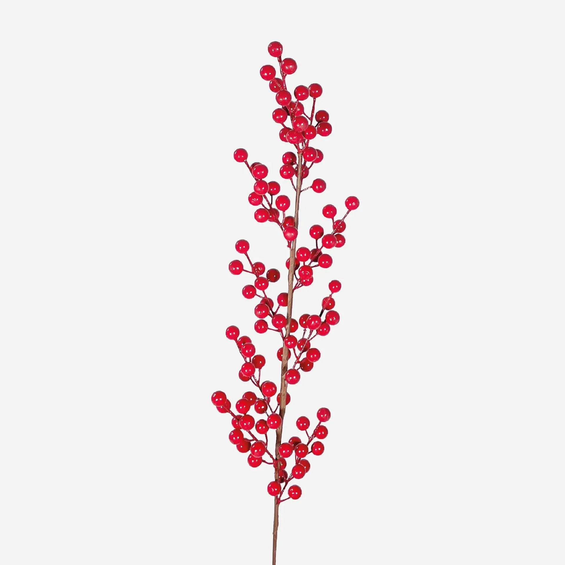 Chamizo Largo Cerezas (Ref.9)