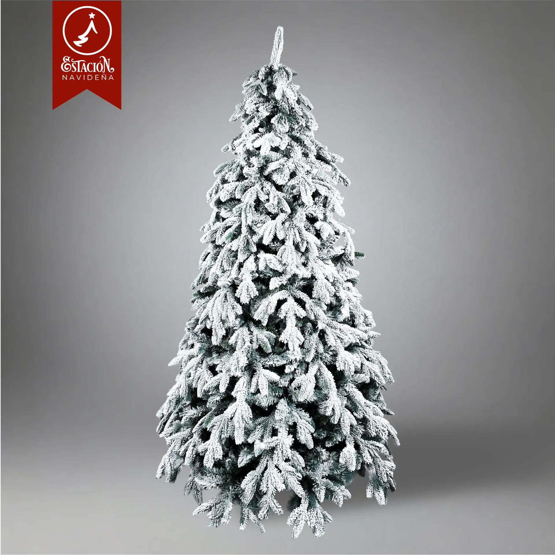Árbol Tradicional Araucaria Nevado