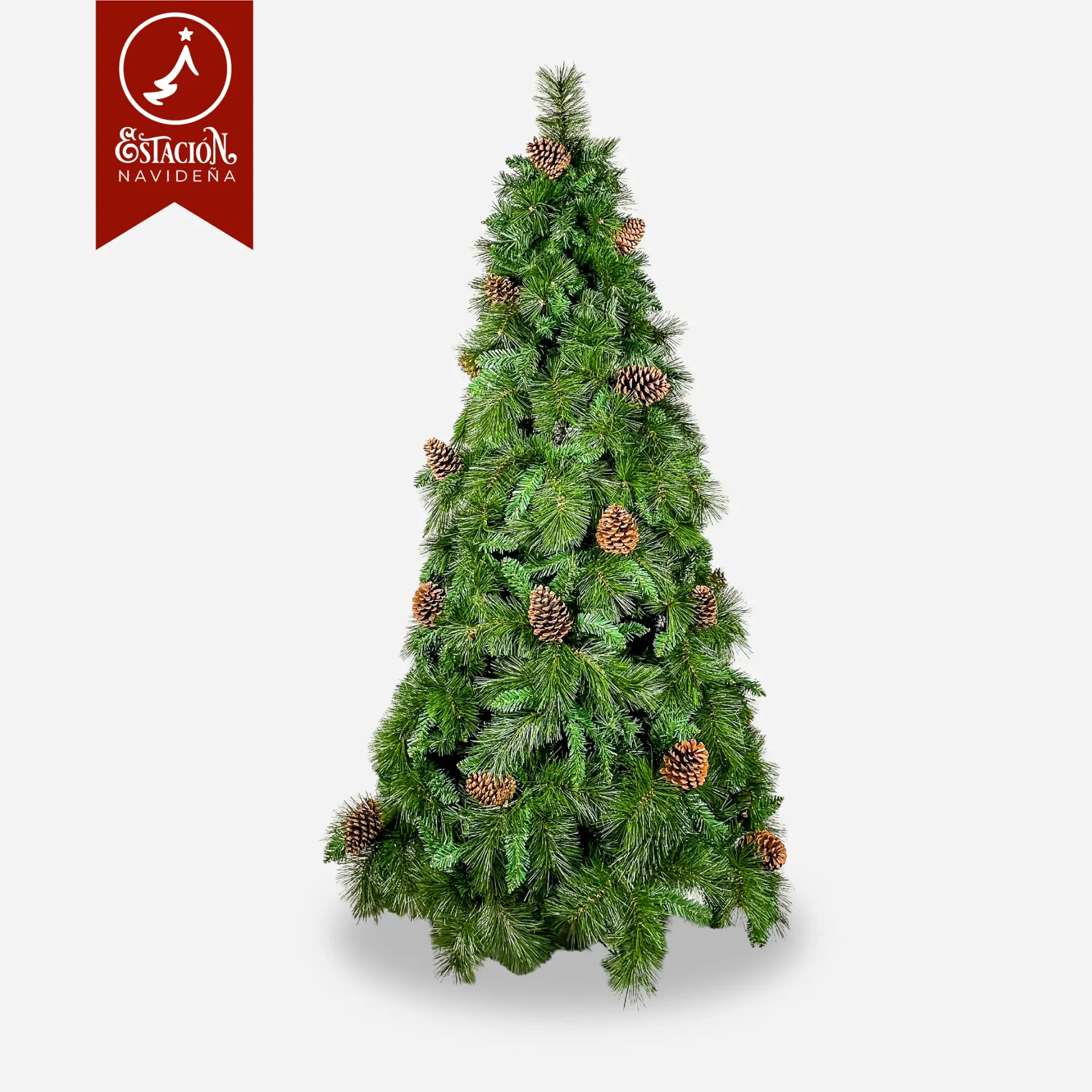 Árbol Tradicional Bigotes